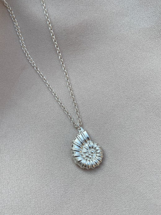 שרשרת Tampa צדף