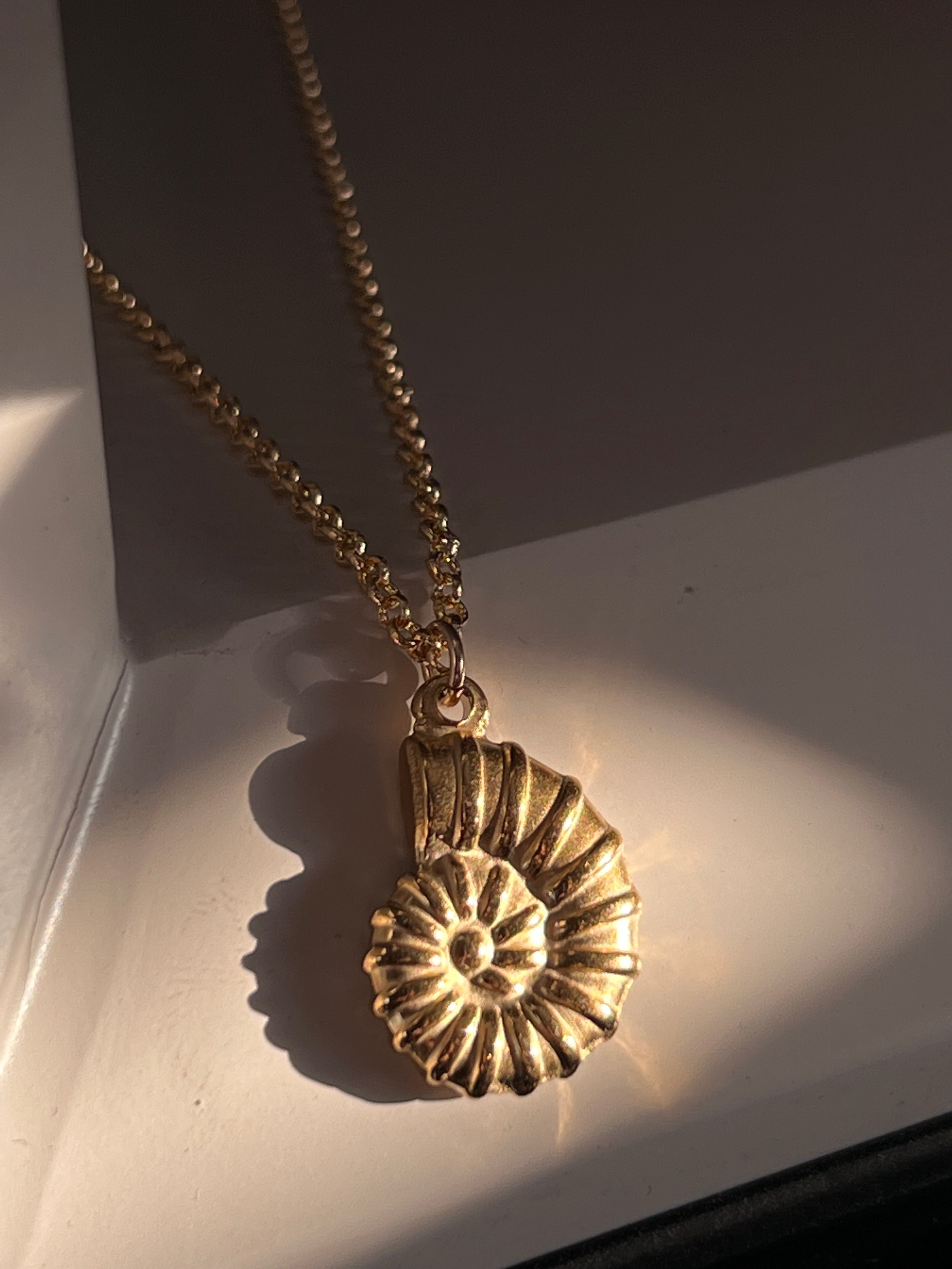 שרשרת Tampa צדף