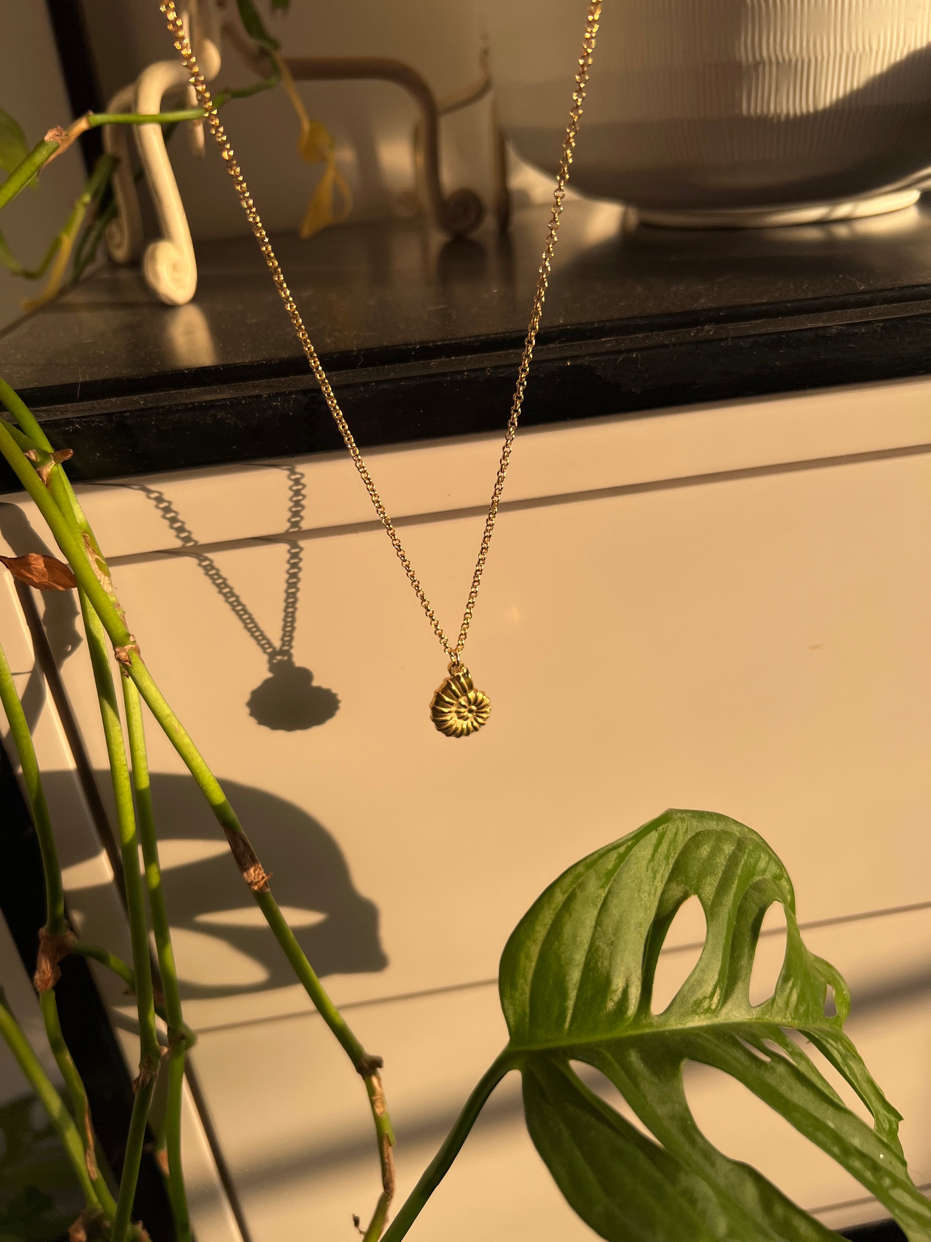 שרשרת Tampa צדף