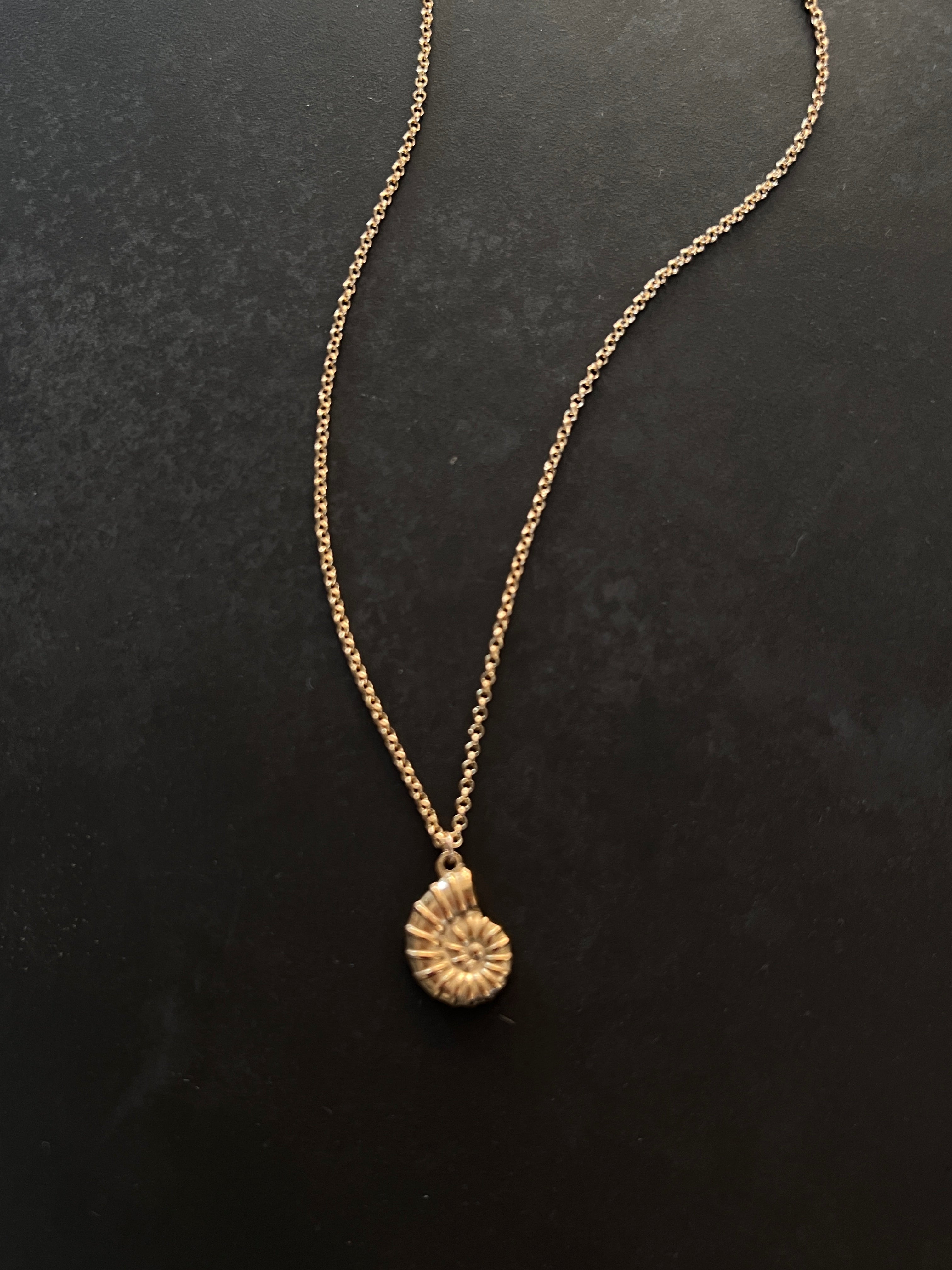 שרשרת Tampa צדף