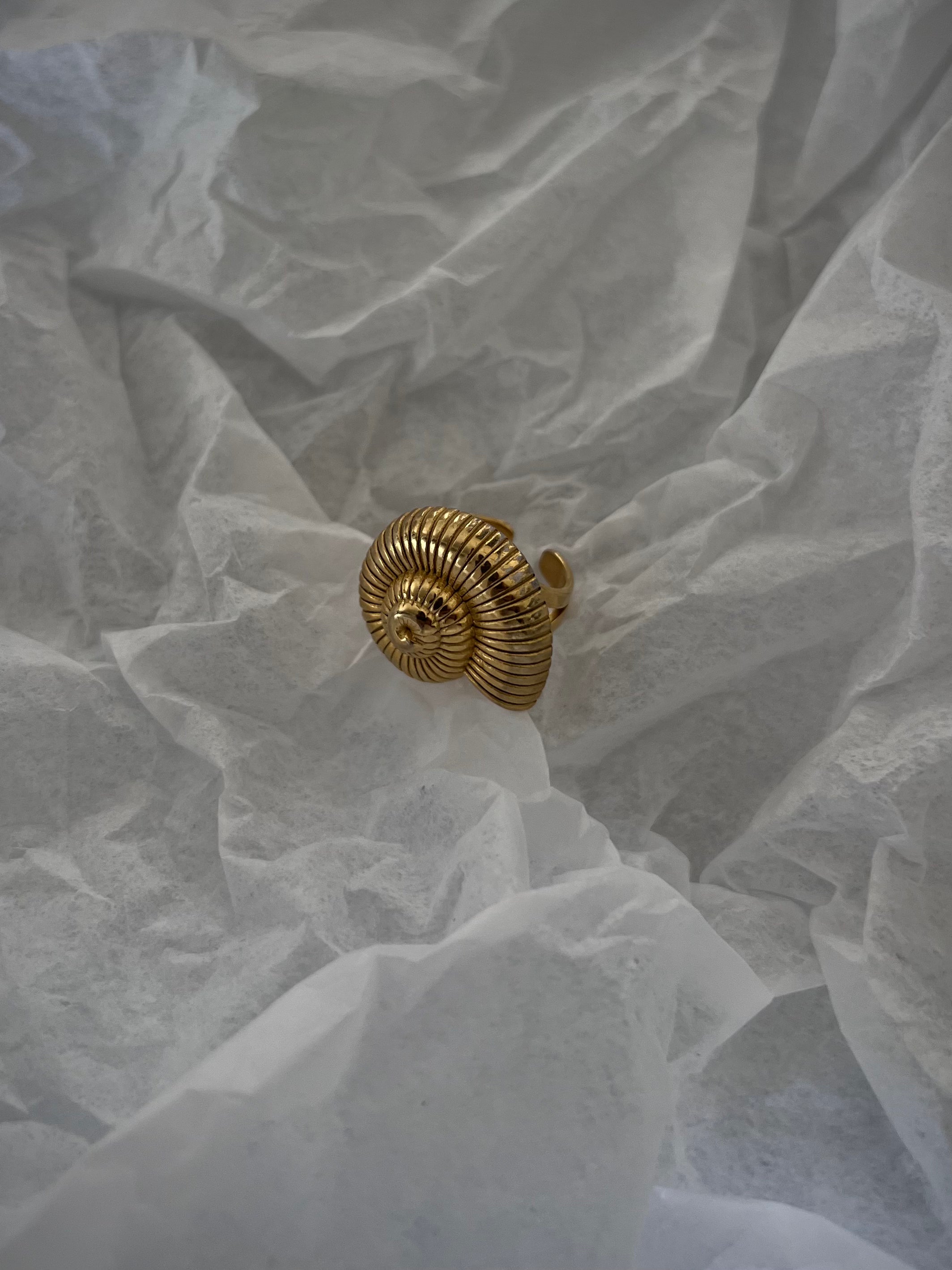 טבעת Shell Ring צדף
