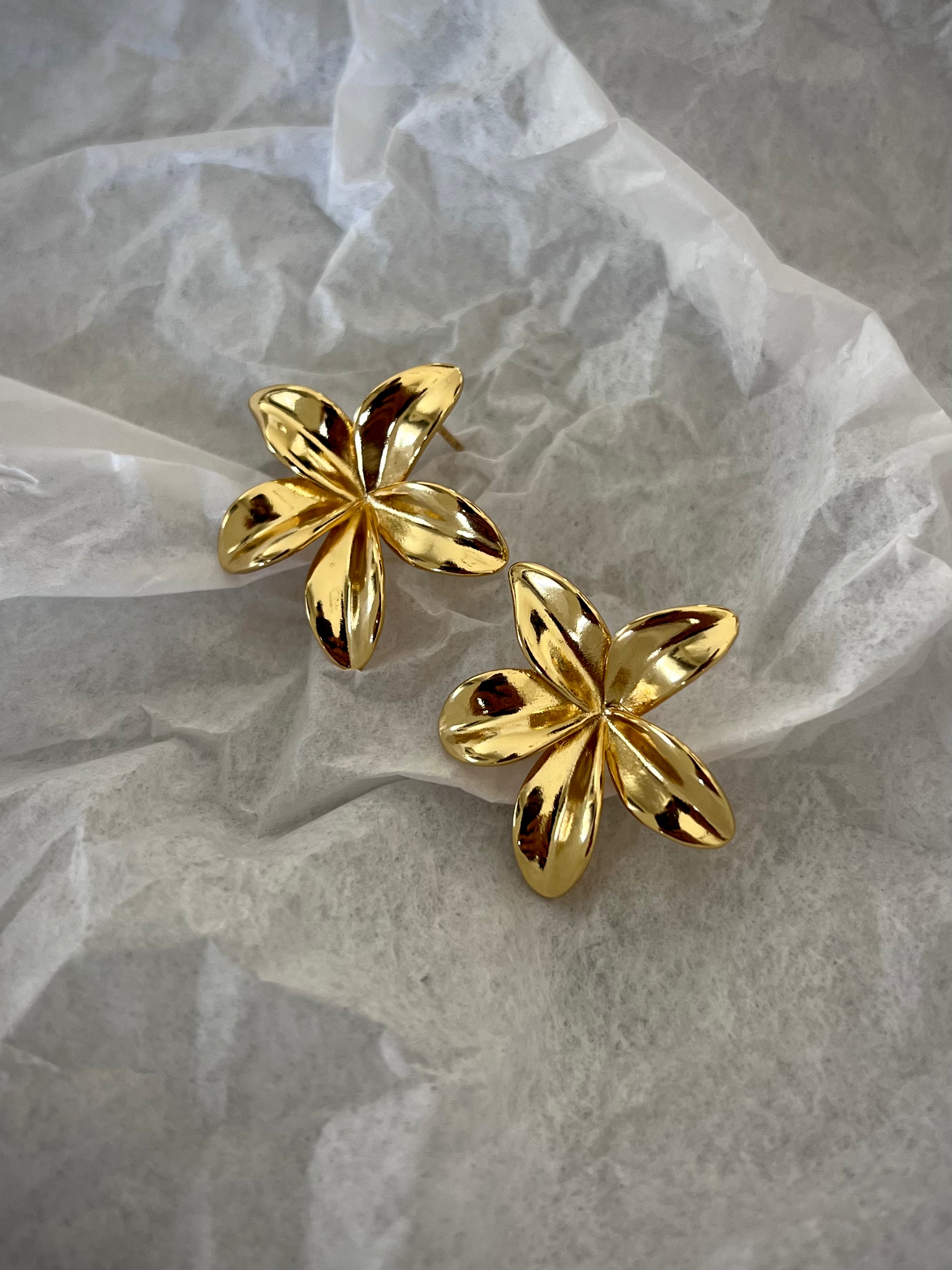 עגילי Plumeria פרח