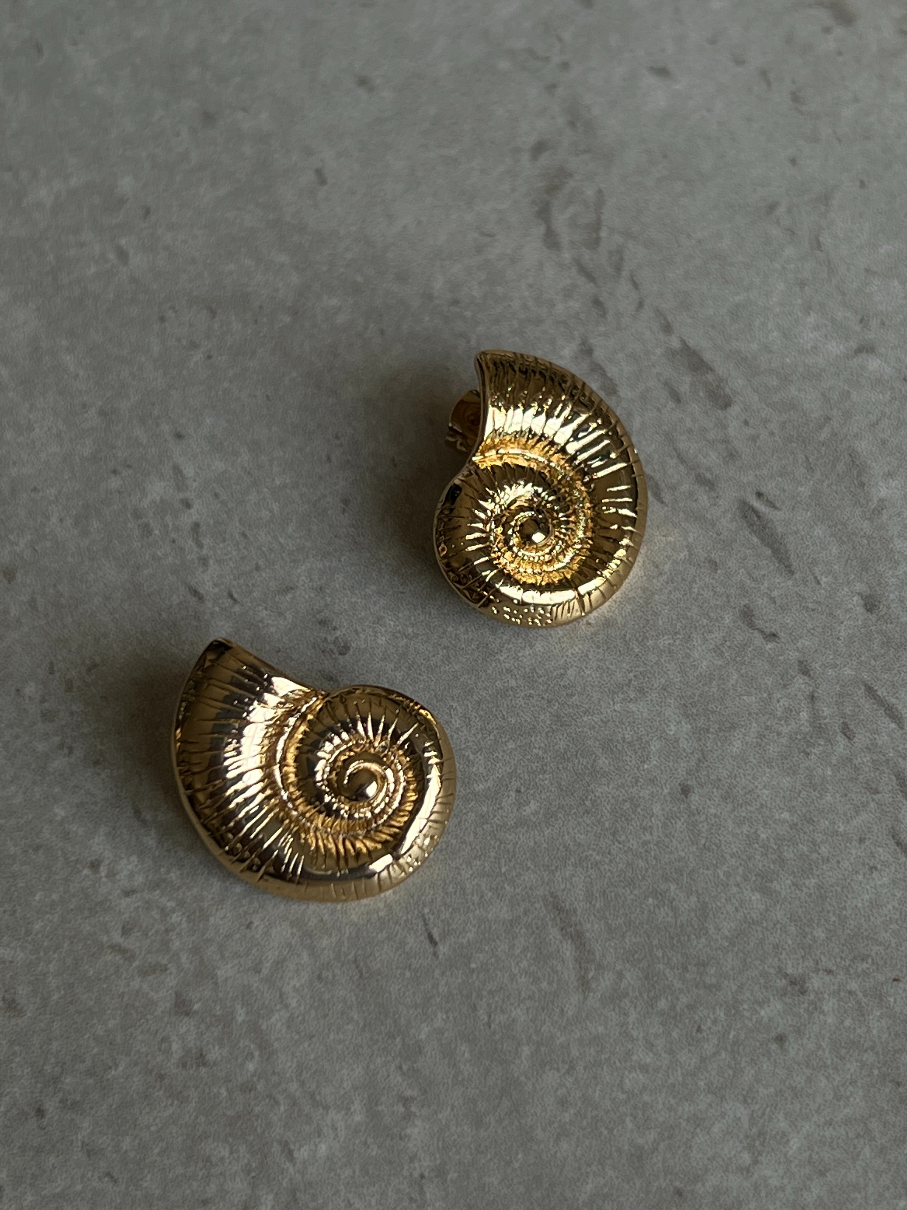 עגילי Shell Earrings צדף