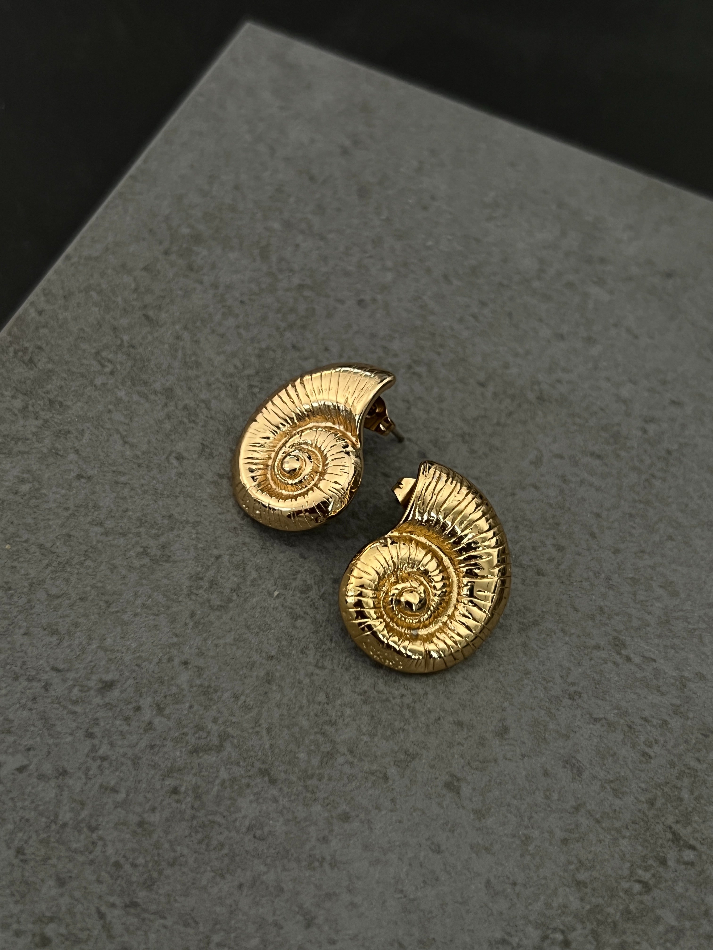 עגילי Shell Earrings צדף