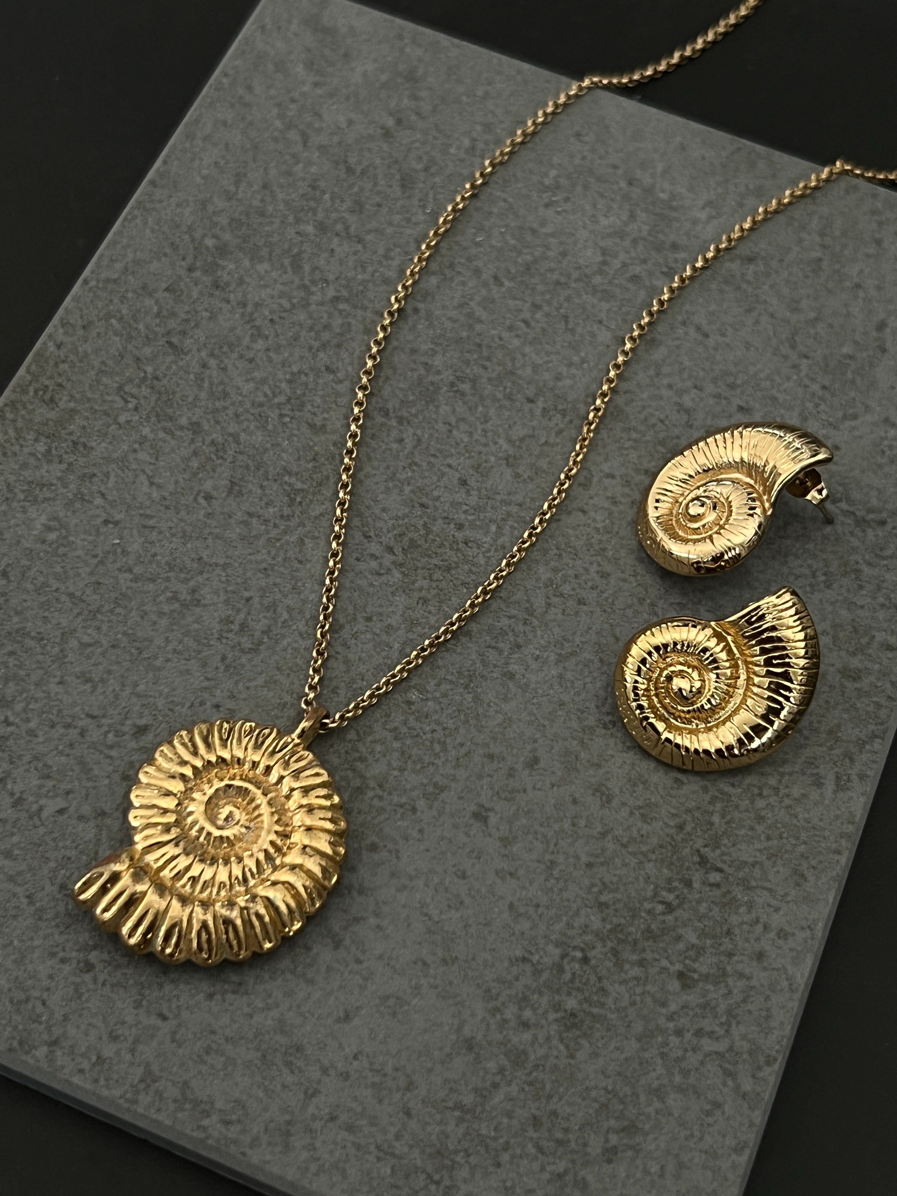 עגילי Shell Earrings צדף