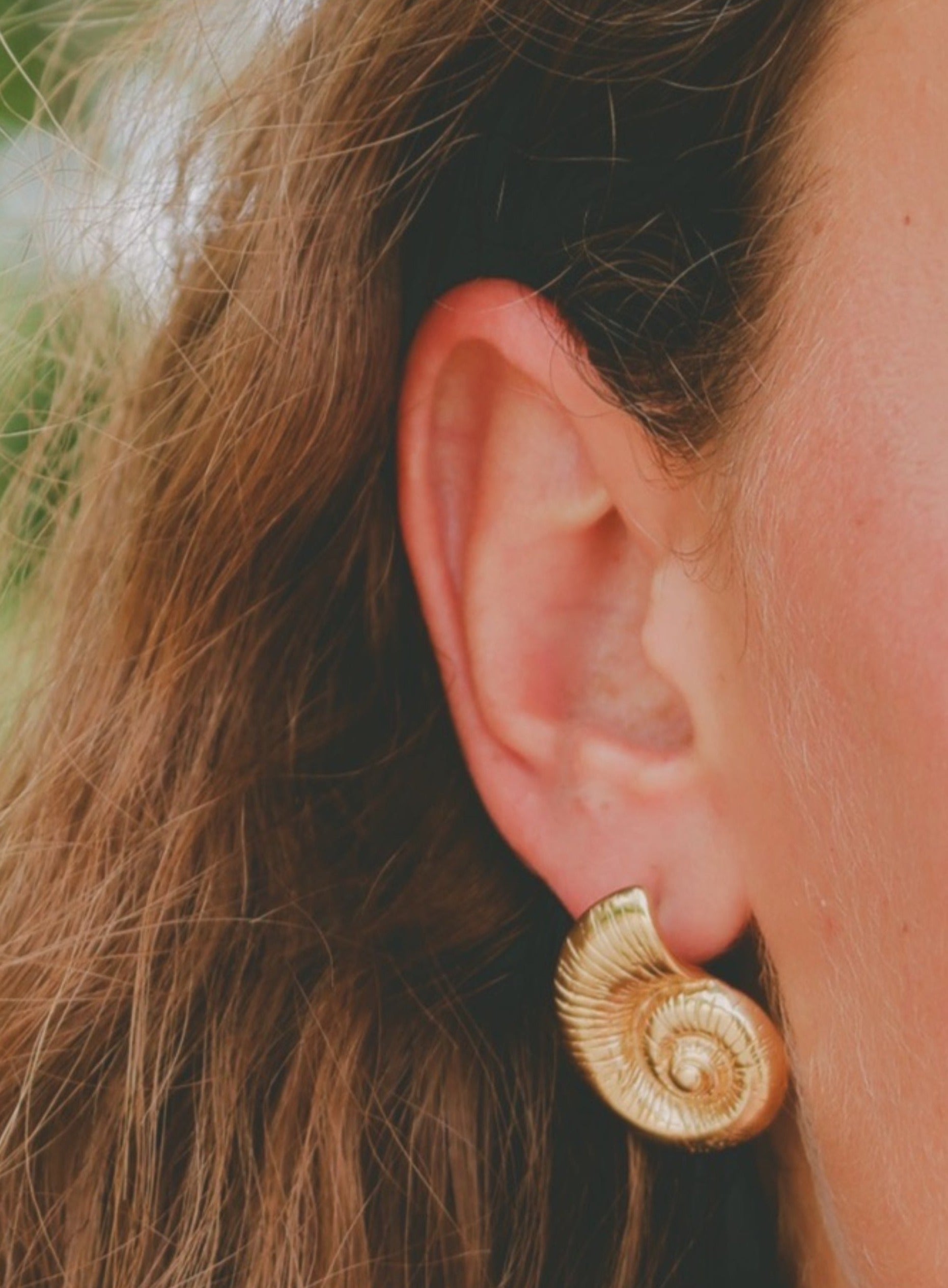 עגילי Shell Earrings צדף