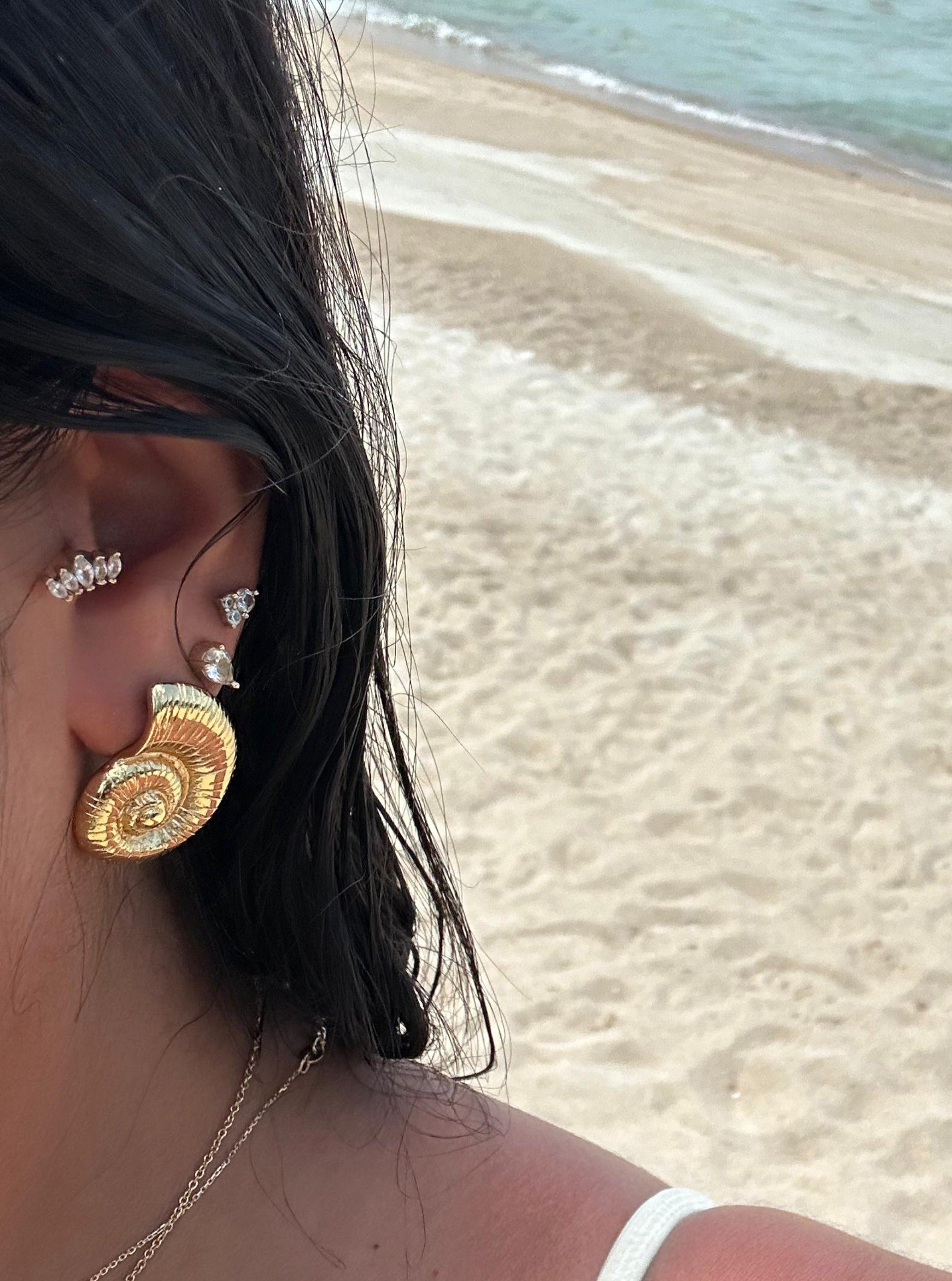 עגילי Shell Earrings צדף