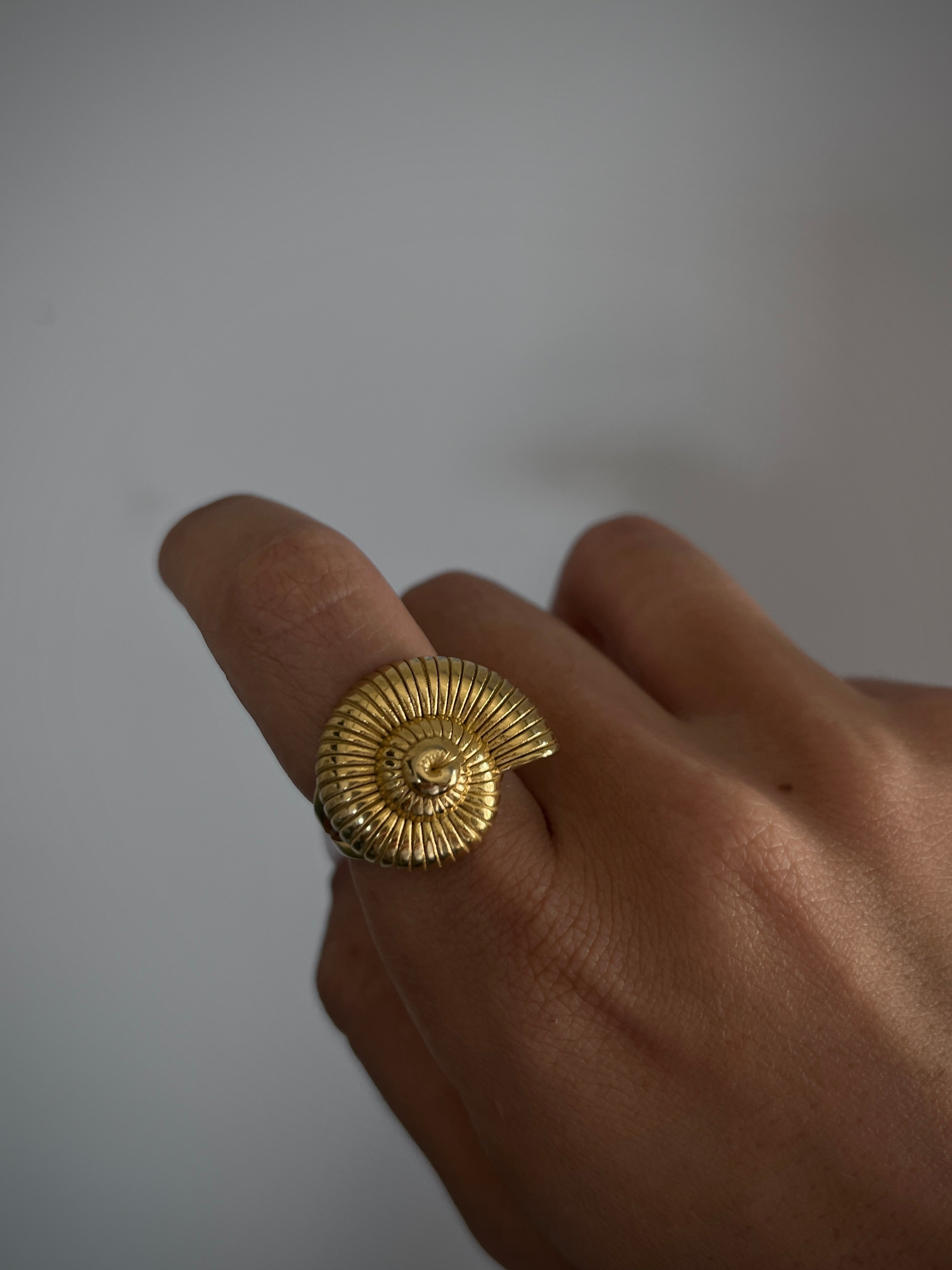 טבעת Shell Ring צדף